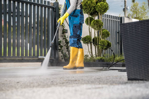 Best Driveway Pressure Washing  in Lake Mary, FL